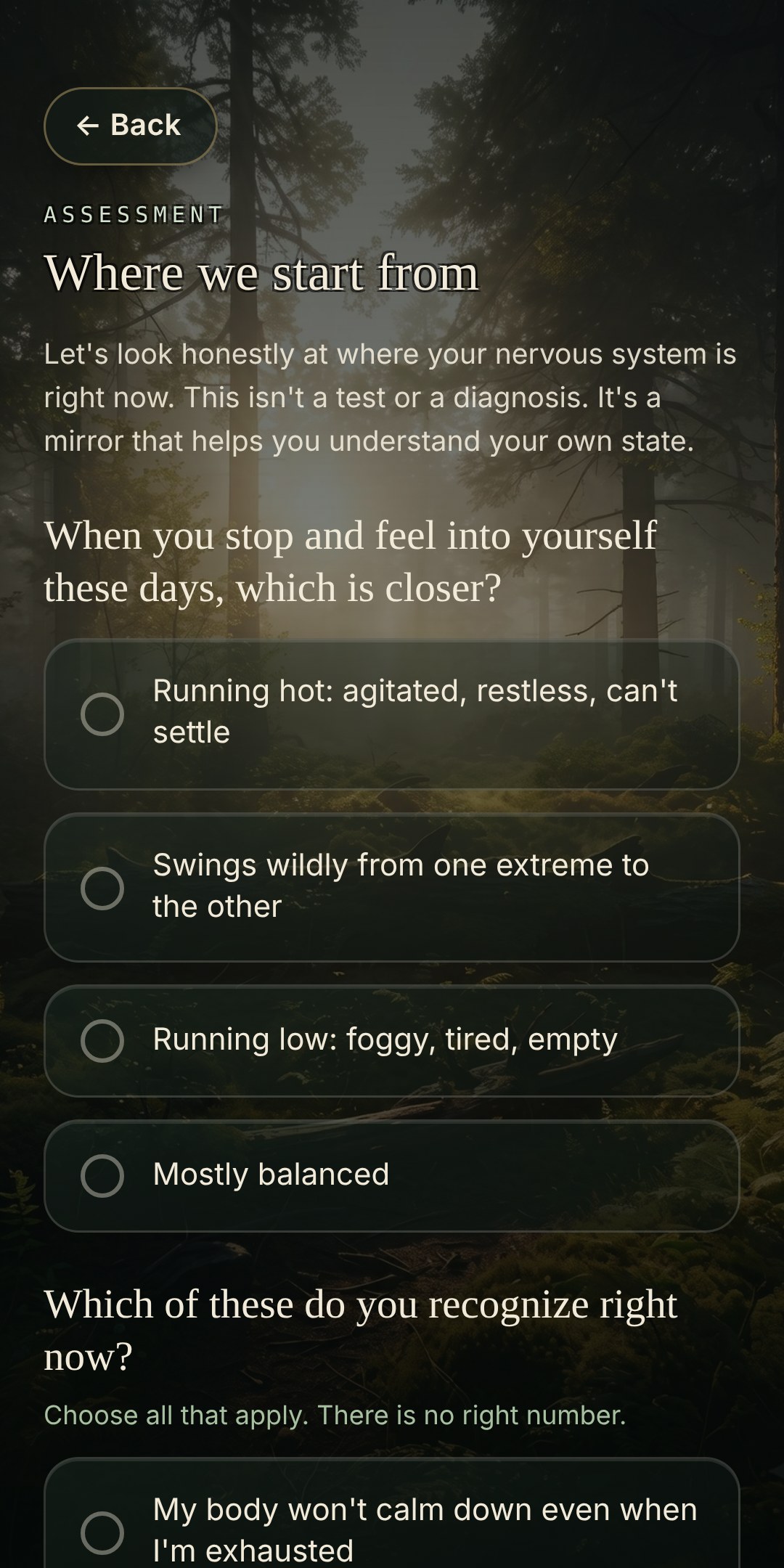 The assessment screen in the app