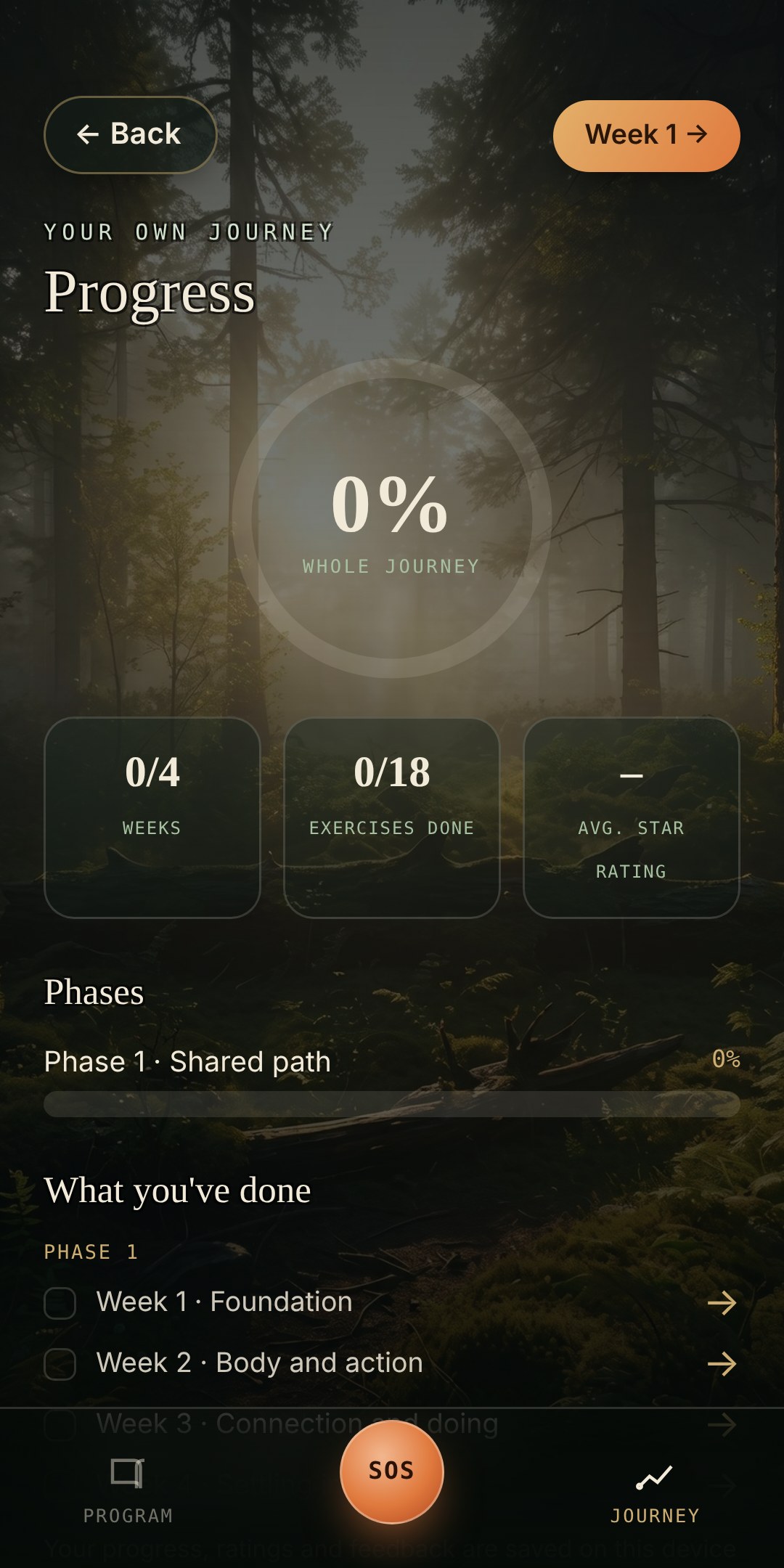 Progress tracking in the app