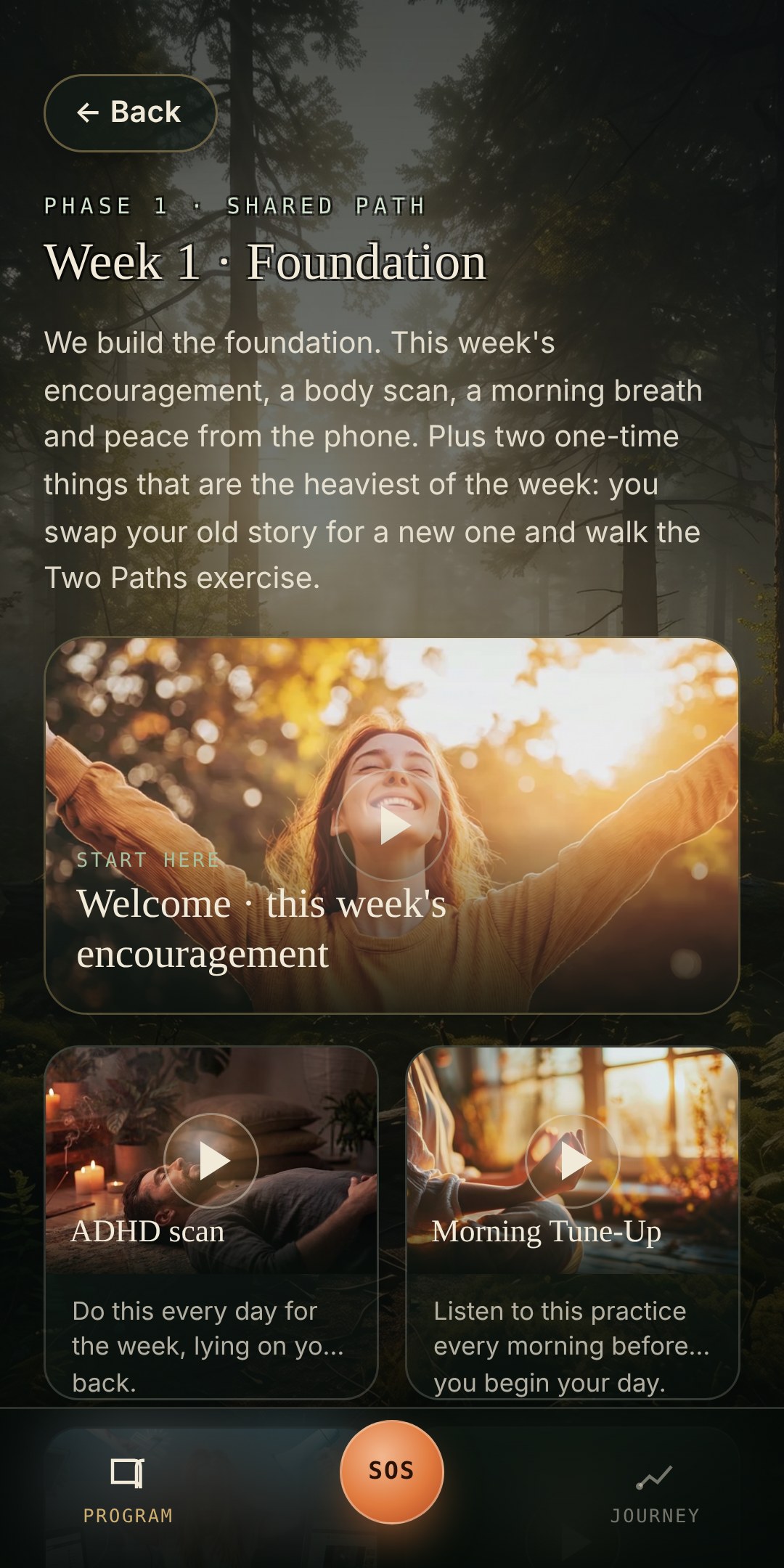 ADHD Momentum, the week 1 view in the app